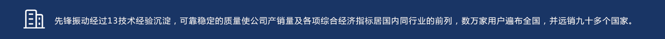 河南先鋒振動